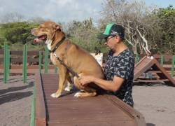 El Parque Recreacional Canino, ubicado en El Mirador, Santa Cruz fue elaborado con 2,5 toneladas de envases Tetra Pak® que fueron recuperados y transformados por Surpapel.