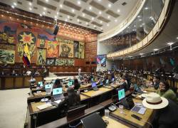 Fotografía que muestra la sesión plenaria de este martes 20 de octubre.
