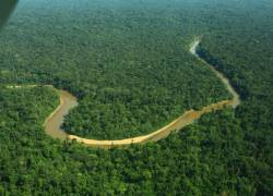 El Parque Nacional Yasuní es uno de los 25 destinos imprescindibles elegidos por National Geographic para viajar en 2022.