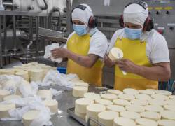 El cien por ciento de la producción de quesos y yogures de Alpina son fabricados con materia prima nacional.