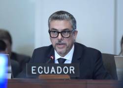 El viceministro de Movilidad Humana de Ecuador, Alejandro Dávalos, habla durante una reunión del Consejo Permanente de la Organización de los Estados Americanos.