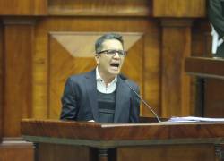 Fotografía de la intervención de Terán ante el Pleno de la Asamblea Nacional, este miércoles 17 de julio.