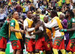 Jugadores de Camerún celebran el gol contra Brasil.