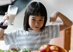 El rendimiento escolar puede mejorar con una alimentación completa y equilibrada. Esto debido a que algunos nutrientes son especialmente importantes para el cerebro de los niños en su tiempo de escuela.