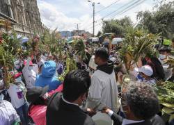Ciudadanos ecuatorianos celebran el Domingo de Ramos hoy, por la calles de Quito, durante una tradicional procesión que recorre las calles del centro histórico de Quito (Ecuador).