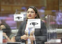 Fotografía de archivo que muestra a la asambleísta de la Revolución Ciudadana, Victoria Desintonio.