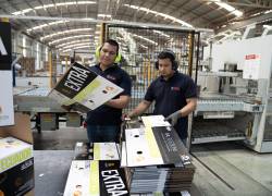 Trabajadores de Grupasa.