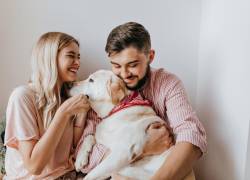 España da un paso histórico y reconoce a las mascotas como miembros de la familia: ¿qué implica esta decisión?