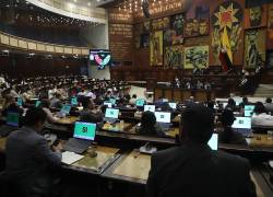 El debate se desarrolló sobre la base del informe no vinculante remitido por la Comisión de Régimen Económico y Tributario.