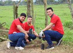 Colaboradores de Arca Continental Ecuador realizando voluntariado de reforestación.