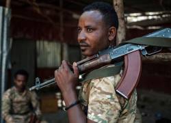 El gobierno de Etiopía reconoce y acepta el informe, pero los rebeldes lo consideran defectuoso.