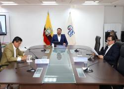 Sesión del Consejo de Participación Ciudadana y Control Social presidida por Andrés Fantoni.