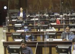 Asamblea ratifica observaciones en proforma 2022; Gobierno anuncia que entrará en vigencia por el ministerio de la ley
