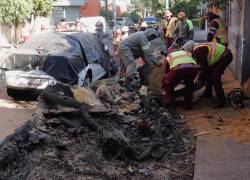 Trabajadores retiran un árbol que cayó sobre un vehículo tras un sismo este viernes, en Ciudad de México (México).