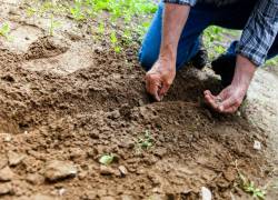 Bono Raíces de USD 1.000: estos son los requisitos para recibir la ayuda económica del Gobierno