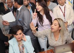 Asambleístas de la Revolución Ciudadana nuevamente implicados de pelea.