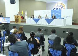 CNE informa que la consulta popular irá junto a las elecciones seccionales.