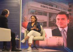 “Los jueces de la Corte tienen sus agendas propias, algo que no beneficia al país”, aseguró Zaida Rovira.