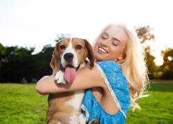 Pensilvania da un paso histórico: mascotas dejarían de ser tratadas como objetos en casos de divorcio