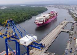 Un total de 225 embarcaciones, de diferente calado, han atracado de enero a noviembre en el Terminal Portuario de Guayaquil.