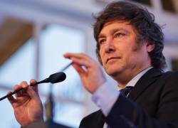 Javier Milei nació en Buenos Aires, capital de Argentina. Es economista de la U. de Belgrano con una maestría en Ciencias Económicas de la U. Torcuato Di Tella.