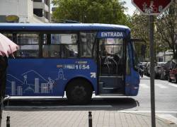 Fotografía que muestra un bus de transporte urbano en la ciudad de Quito.