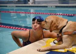 Radar es un perro guía y la acompaña a todos lados.
