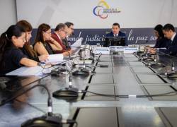 El Pleno del Consejo de la Judicatura, presidido por Damián Larco, destituyó al juez Tapia el 14 de abril.