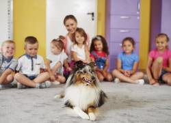 Francia incluye formalmente el cuidado de mascotas en las escuelas para enseñar empatía