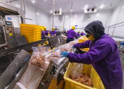 El portafolio de valor agregado de Nirsa incluye una línea de camarones apanados con ralladura de coco o apanadura panko.