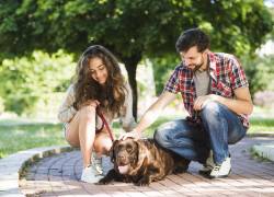 San Valentín 2026: ¿Estás soltero? tu perro podría ser el mejor aliado para encontrar pareja