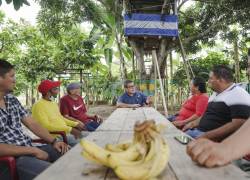El viceministro de Desarrollo Productivo Agropecuario, Eduardo Izaguirre en una reunión con productores bananeros en Vinces.
