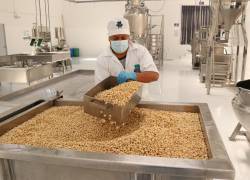 La agroindustria nacional aprovecha el chocho para elaborar innovadores productos.