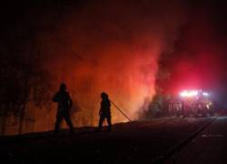 Ecuador envía bomberos a Chile para combatir ola de incendios forestales: hay al menos 24 muertos y 2.180 heridos