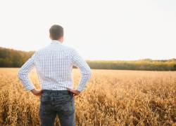 Imagen referencial de un hombre mirando un campo.