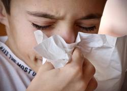 El 40 % de personas en Latinoamérica padece de Rinitis Alérgica
