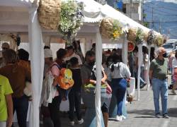 La Feria es organizada por un grupo de mujeres denominadas Las Flores Hablan.