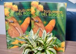 Foto del libro Susurros del Bosque, de la naturalista y fotógrafa ecuatoriana Verónica Fernández Orrantia.