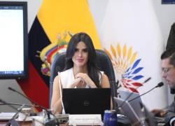 Diana Jacome propone fiscalizar fallo de la Corte Constitucional.