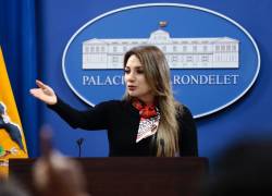 Carolina Jaramillo anuncia su salida del Gobierno.