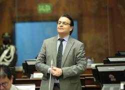 El legislador Fernando Villavicencio en medio de una sesión de la Asamblea