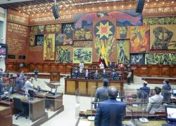 Asamblea pide a la Comisión Calificadora que se permita participar a sus candidatos a jueces de la Corte Constitucional