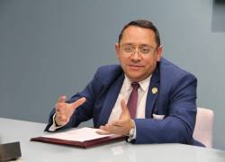 “Su labor no se rige por ningún tipo de presión ni conflictividad política”, ha argumentado el contralor, Mauricio Torres.