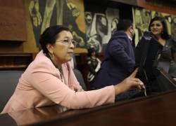 La presidenta de la Asamblea Nacional, Guadalupe Llori, durante una sesión del Pleno.