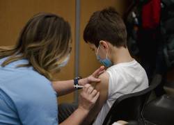 ¿Las vacunas anticovid para menores se han probado solo en ratas?; investigación revela proceso
