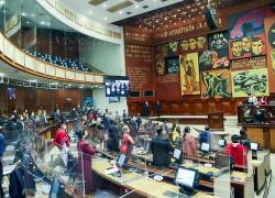 Asamblea retoma segundo debate de ley del aborto por violación: informes difieren en plazos para interrupción