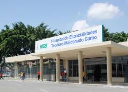 Presunto peculado en la compras de insumos médicos para el Hospital Teodoro Maldonado Carbo.