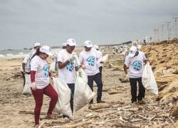 Más de 13.000 voluntarios han participado en las jornadas del Programa de Limpieza Costera desde el 2004.