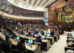 Fotografía del Pleno de la Asamblea Nacional, durante la votación por la moción de respaldo.
