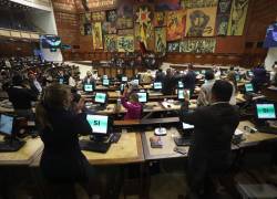 Fotografía del Pleno de la Asamblea aplaudiendo tras la aprobación de la Ley.